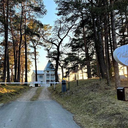 Vallery Guest House Bigauņciems Kültér fotó